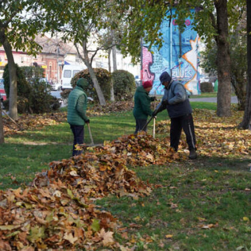 Activități de toamnă la Serviciul Spații Verzi din Lugoj