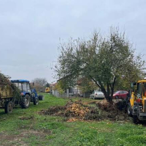 Programul de colectare a deșeurilor vegetale în Moșnița Nouă