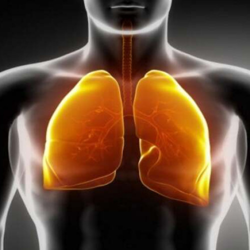 Boala pulmonară obstructivă cronică afectează peste 1,5 milioane de români