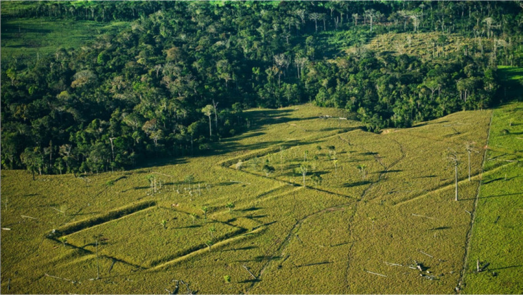 Arheologii descoperă metropole uitate în jungla Amazoniană
