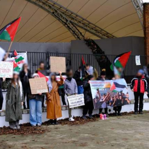 Marș pentru Palestina, Timișoara