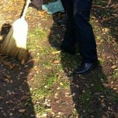 Serviciul de Probatiune Timiș, un model de succes în reabilitarea infractorilor