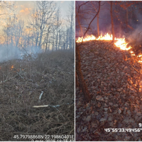 Incendii de vegetație în județul Timiș: 36 de focare în ultimele 48 de ore