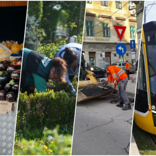 Profiturile societăților de transport și piețe din Timișoara în 2024