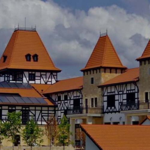 Consiliul Județean Timiș negociază cumpărarea Hotelului Castel Royal