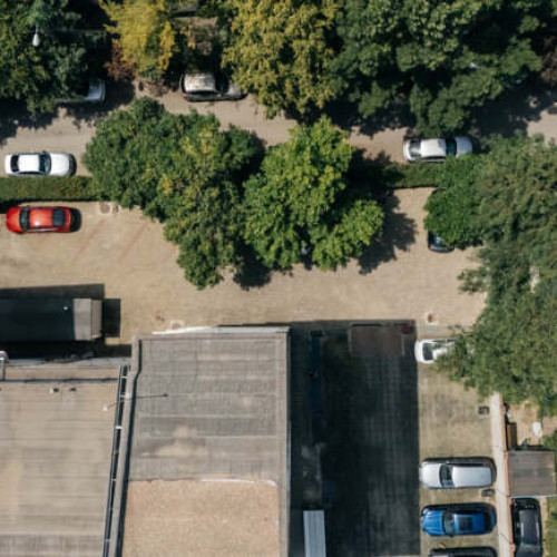 Primăria Timișoara pregătește un nou proiect de parteneriat cu mediul privat pentru dezvoltarea zonelor verzi în oraș, conform site-ului tion.ro. Cele două firme interesate sunt PROCAD SRL și ECA TIM OFFICE SRL, iar terenul vizat se află pe strada Regimentul 6 Artilerie Grea. Potrivit sursei, în următoarea ședință a consiliului local va fi supus aprobării un proiect privind colaborarea dintre municipalitate și aceste companii.