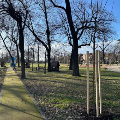 Parcul Copiilor din Timișoara, gata de primăvară: joacă în siguranță și curățenie