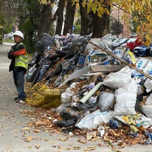 Amenzi de peste 3,5 milioane de lei date de Garda de Mediu Timiș