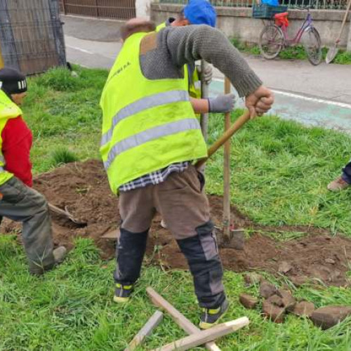 Timișorenii cu ajutor social de la DAS trebuie să muncească 40 de ore/lună sau riscă penalizarea