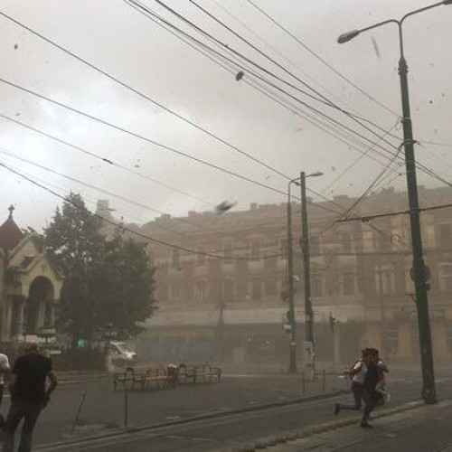 Cod Roșu de vijelii puternice și vânt de până la 100 km/h în Timiș, luni după-masa