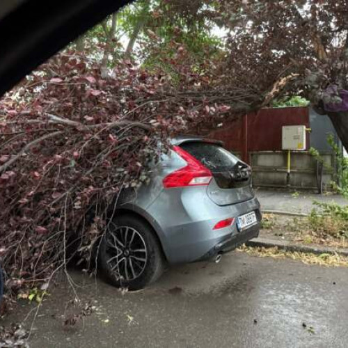 Pompierii din Timiș intervin la foc continuu pentru degajarea copacilor și cablurilor căzute în urma vijeliilor