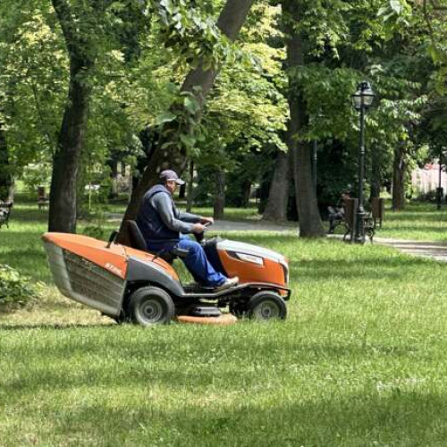 O firmă din Turcia, una din Cluj și asocierea operatorilor din prezent se luptă pentru îngrijirea spațiilor verzi din Timișoara