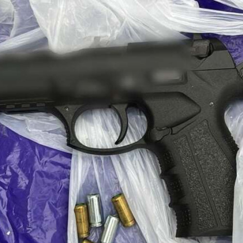 Polițiștii au descins la casa unui bărbat din Biled. Au găsit un pistol și gloanțe