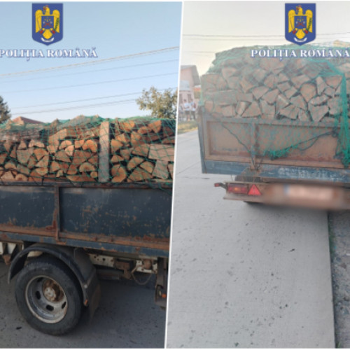 Lemn fără aviz, drum cu ghinion. Amendă pentru un șofer din Timiș