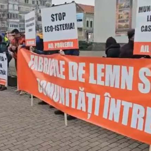 Reprezentanţii industriei lemnoase protestează la Lugoj - VIDEO