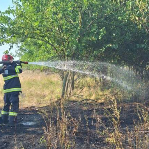 Peste 80 de intervenții în 24 de ore pentru pompierii timișeni