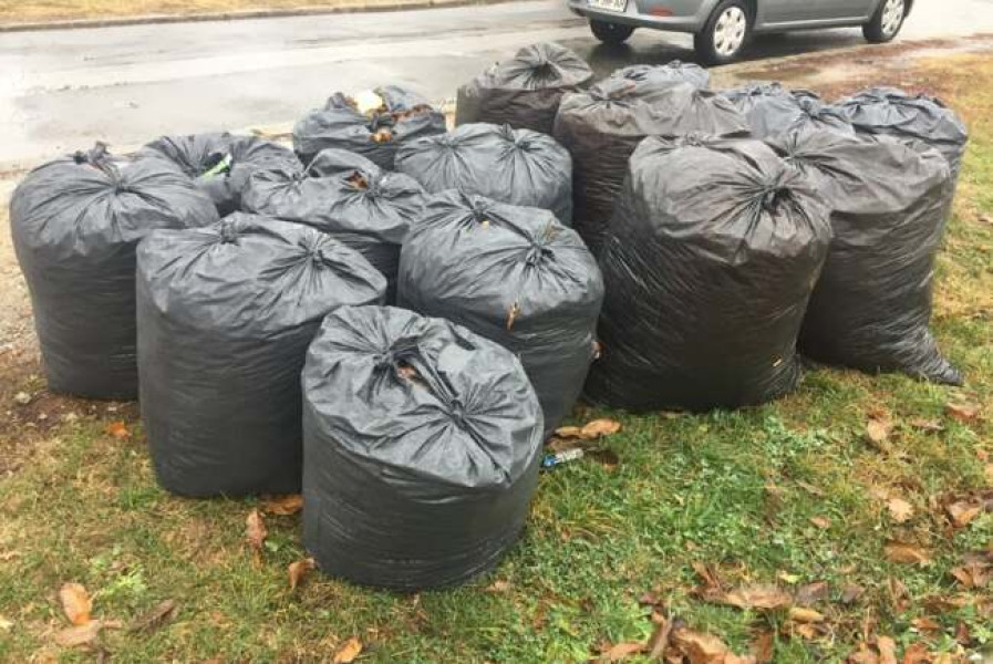 Disputa tarifelor pentru fracția verde la Timișoara între ADID și RETIM