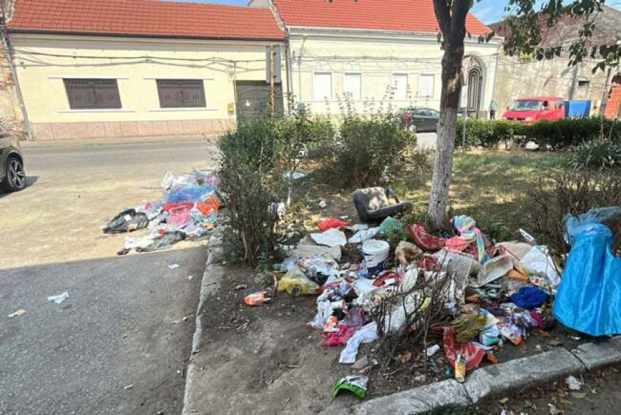 Cooperativa „Munca în zadar”. Autoritățile și voluntarii fac curățenie, însă deșeurile reapar în diverse locuri din Timișoara