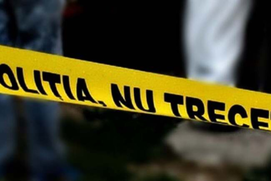 Fragmente osoase găsite într-o baltă privată din Sacoșu Mare