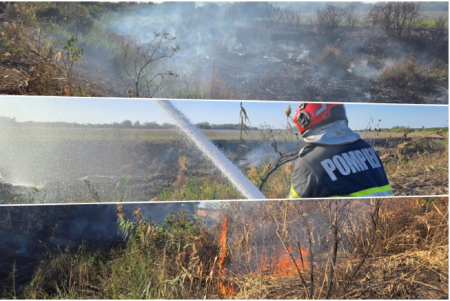 Incendiu mocnit de două luni afectează aerul în Parța și Șag