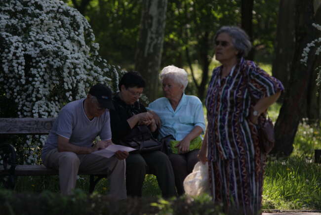 Activități interactive și concert de muzică interbelică în Parcul Rozelor