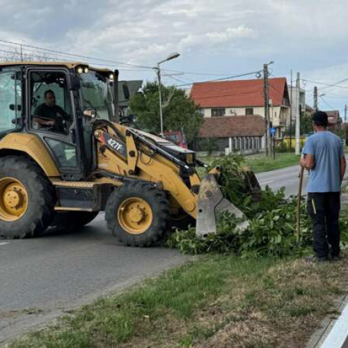 Primăria Giroc anunță măsuri pentru colectarea deșeurilor vegetale