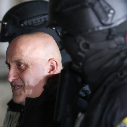 Autoritățile anchetează modul de intrare în România a armelor găsite la Horațiu Potra