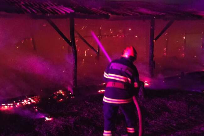 Incendiu la o anexă pentru prelucrarea lemnului în Timișoara, intervenție promptă a pompierilor