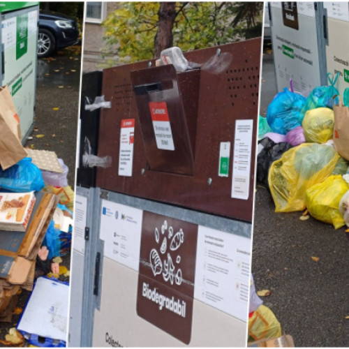 Insula de gunoi din Piața Dacia, din nou blocată și plină de deșeuri