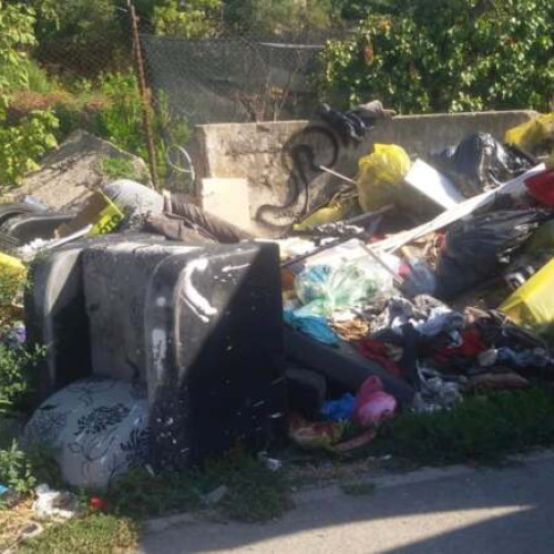 Primăria Timișoara sancționează abandonul ilegal de deșeuri și organizează campanii de curățenie