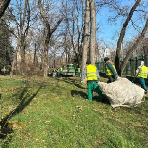 Începe curățarea spațiilor verzi din Timișoara. Acțiunile de salubrizare continuă în săptămâna 26 februarie.