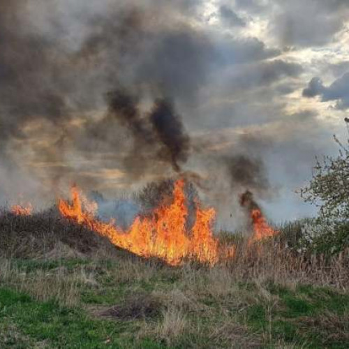 INCENDIU. Zeci de hectare distruse de flăcări în Lugoj. Pompierii au intervenit prompt pentru două incendii de vegetație uscată.