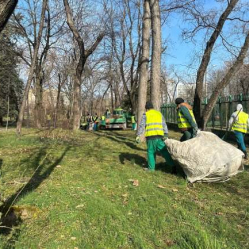 51,6 tone de deșeuri ridicate din Timișoara într-o campanie de igienizare de trei săptămâni