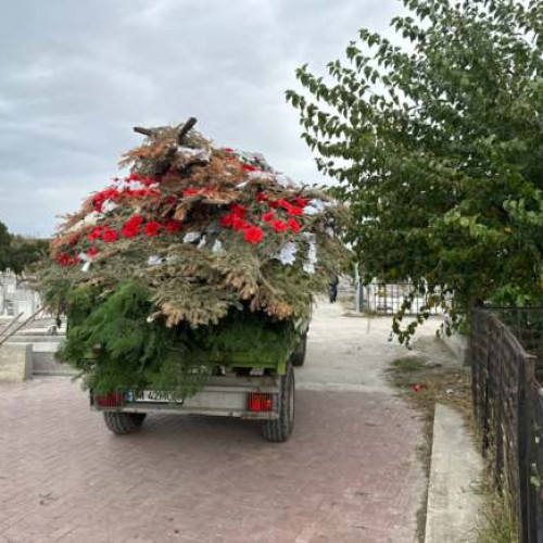 Horticultura SA în pierdere la cimitir din Timișoara. Explicațiile companiei